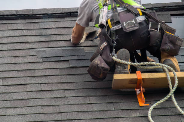 Best Roof Gutter Cleaning  in Bellefontaine, OH