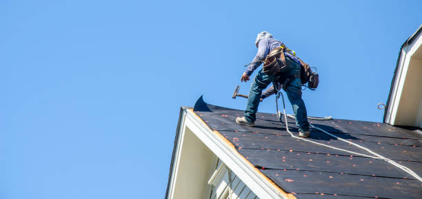 Best Roof Maintenance Services  in Bellefontaine, OH